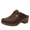 Shoes Selina Tawny Delicut Shoe
